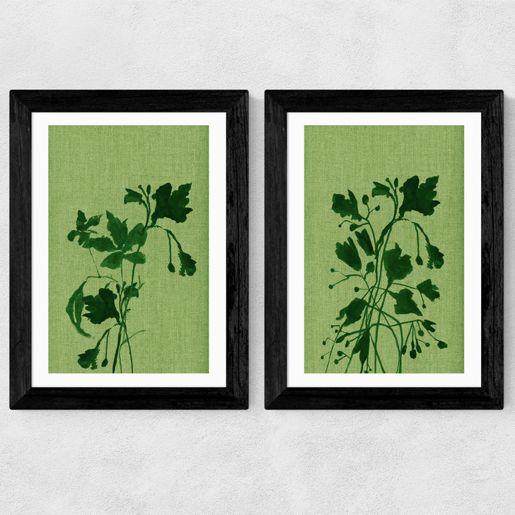 Terre Verte Set Wide Black Frame
