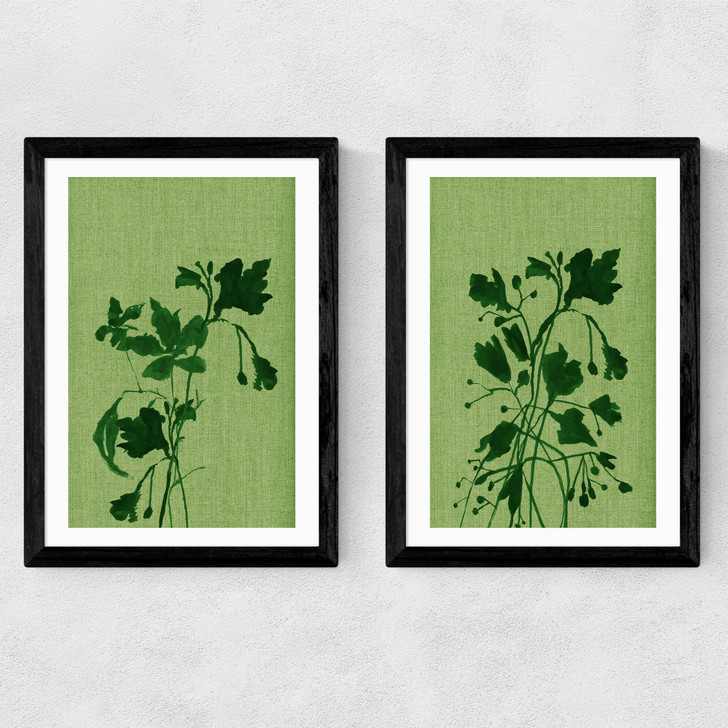 Terre Verte Set Medium Black Frame