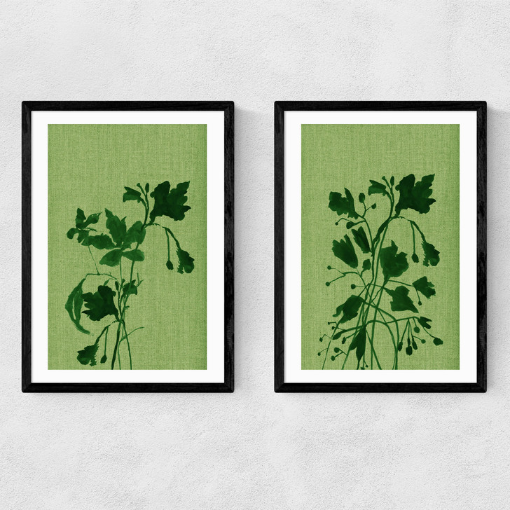 Terre Verte Set Narrow Black Frame