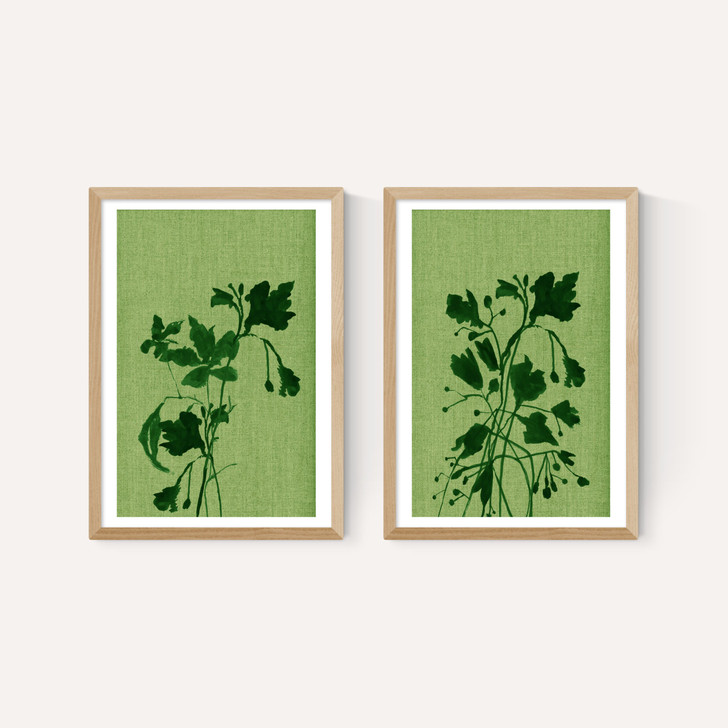 Terre Verte Set