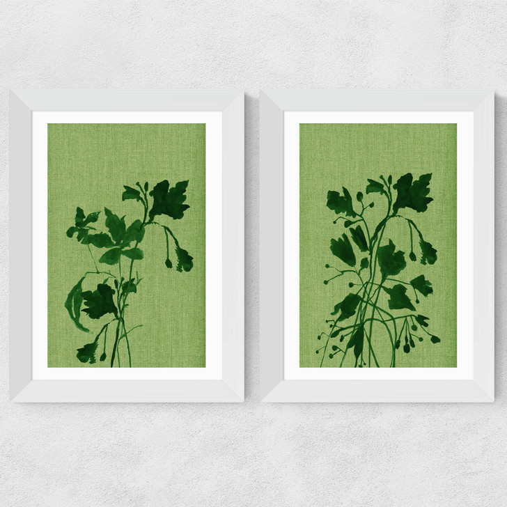 Terre Verte Set Wide White Frame