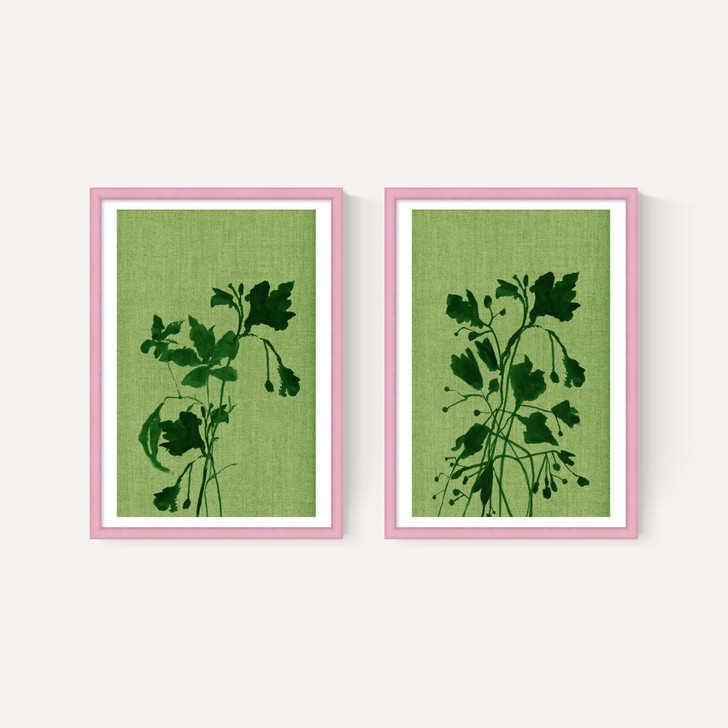 Terre Verte Set