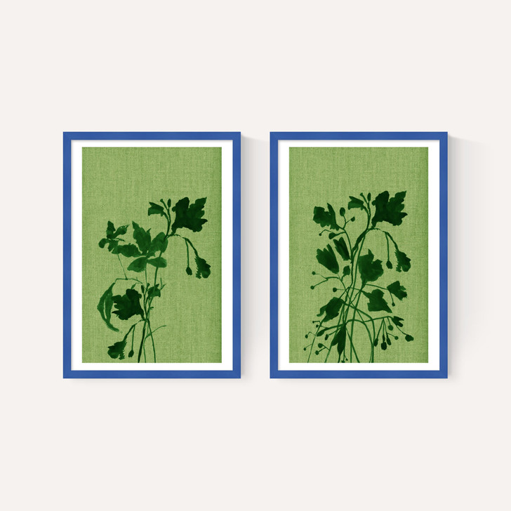 Terre Verte Set