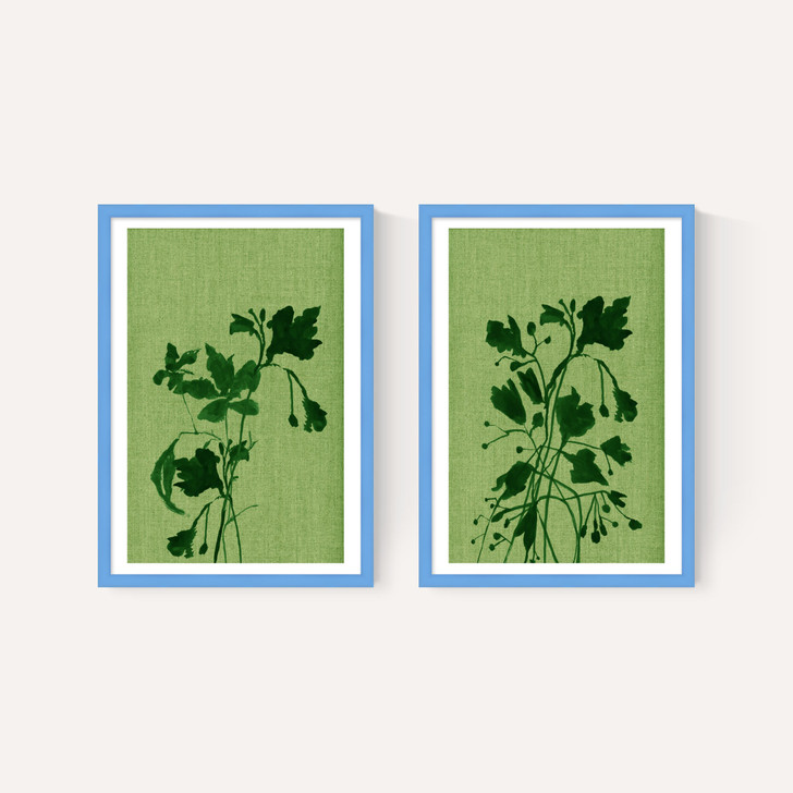 Terre Verte Set
