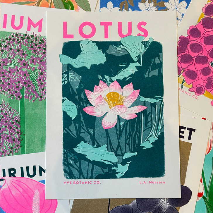 Lotus Riso by Eve Print Studio - Art Print - East End Prints Unframed Print