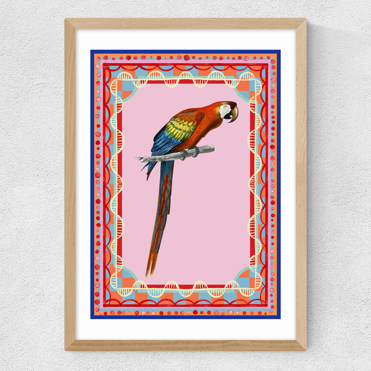 Birdframe Macaw Medium Oak Frame