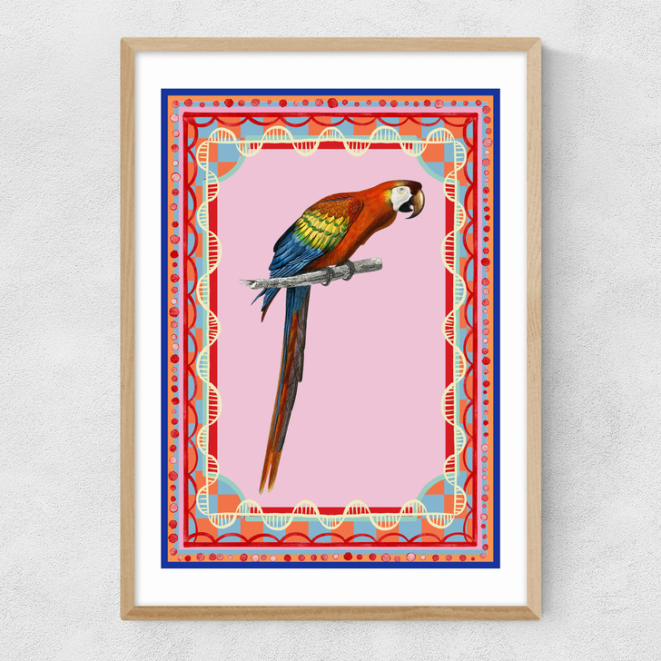Birdframe Macaw Narrow Oak Frame