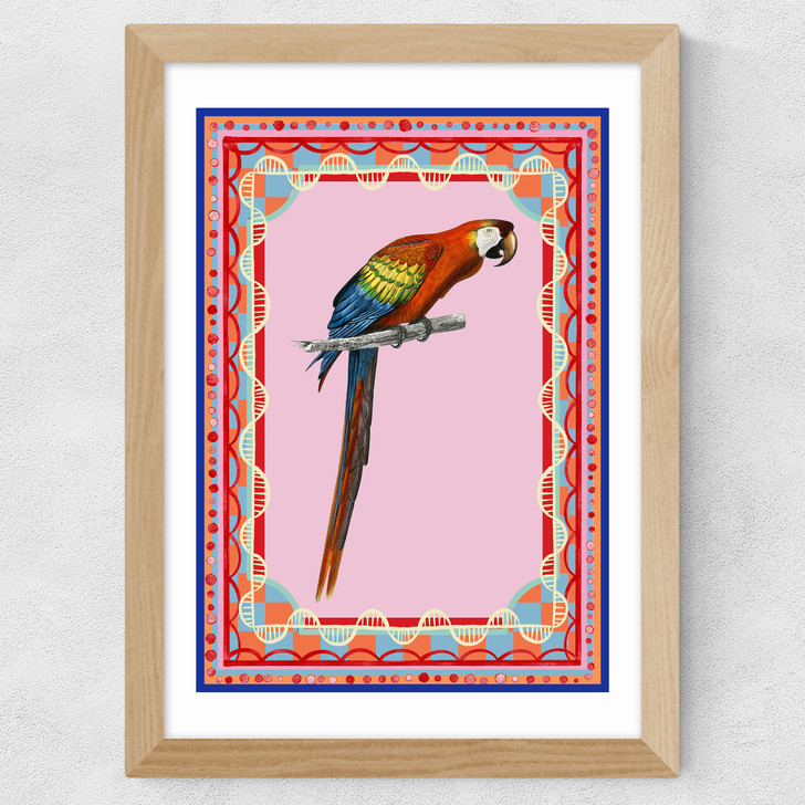 Birdframe Macaw Wide Oak Frame