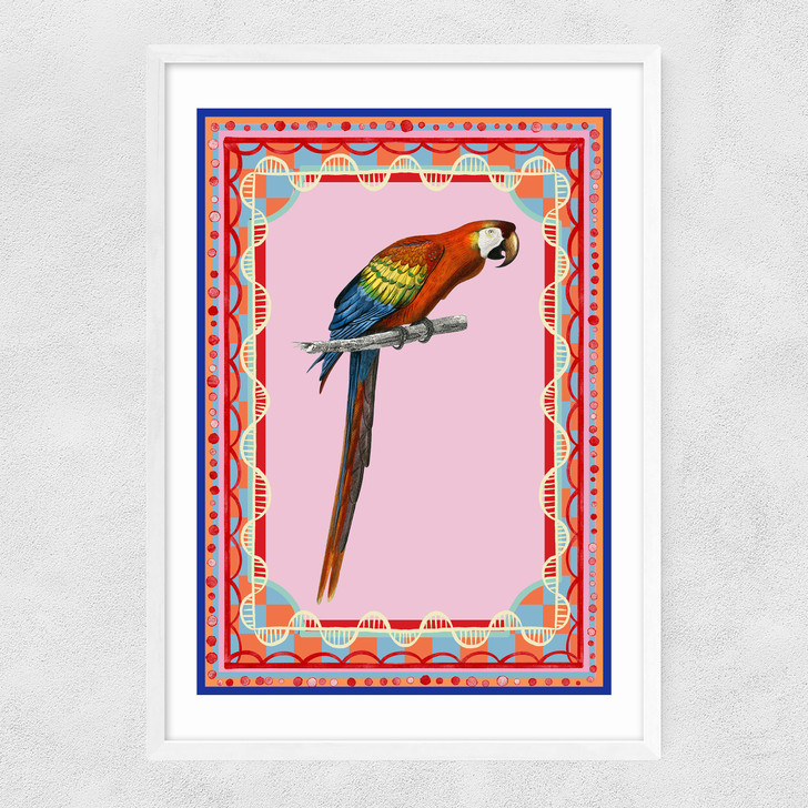 Birdframe Macaw Narrow White Frame