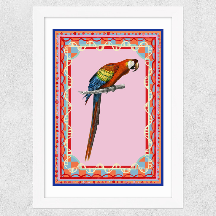 Birdframe Macaw Wide White Frame