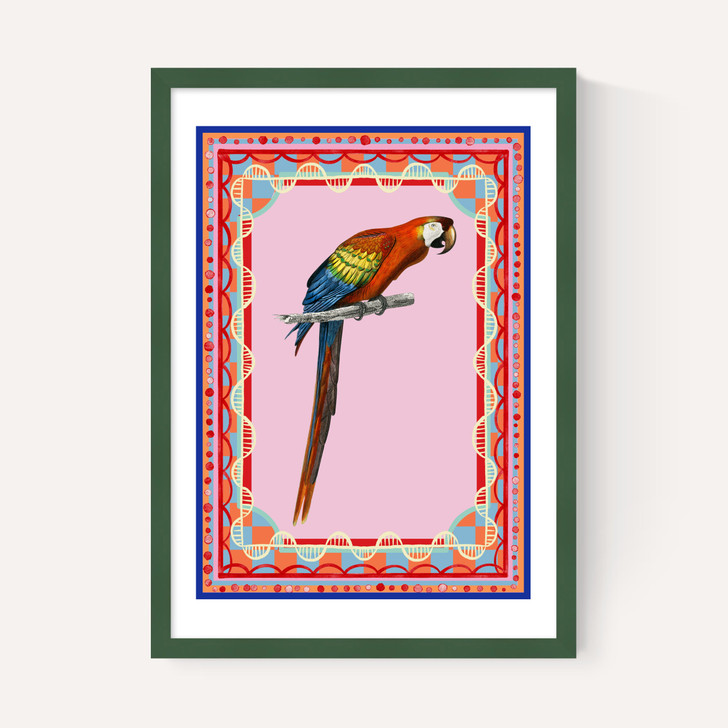Birdframe Macaw