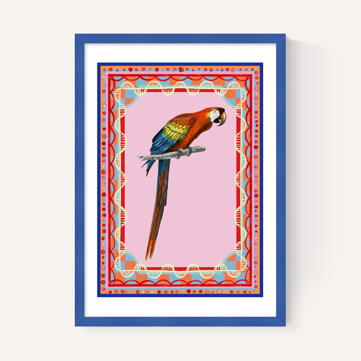 Birdframe Macaw