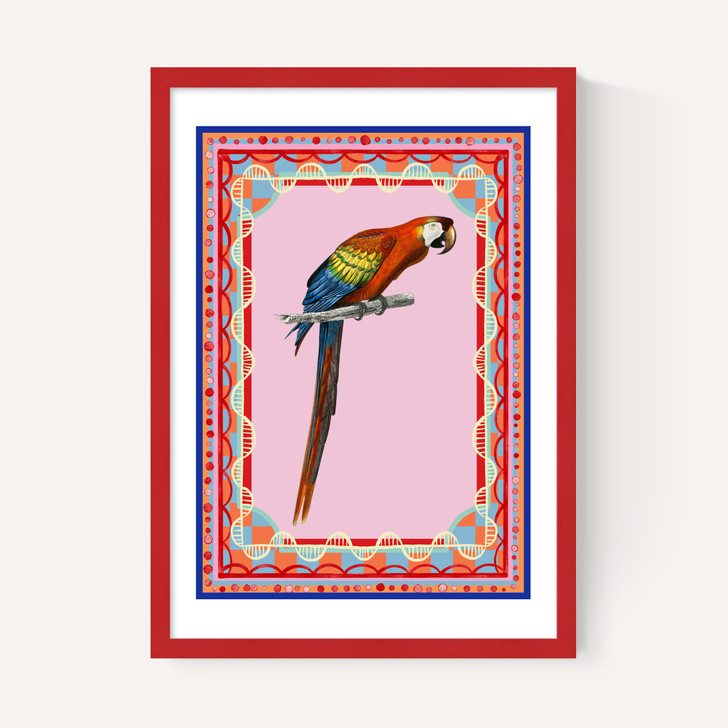 Birdframe Macaw