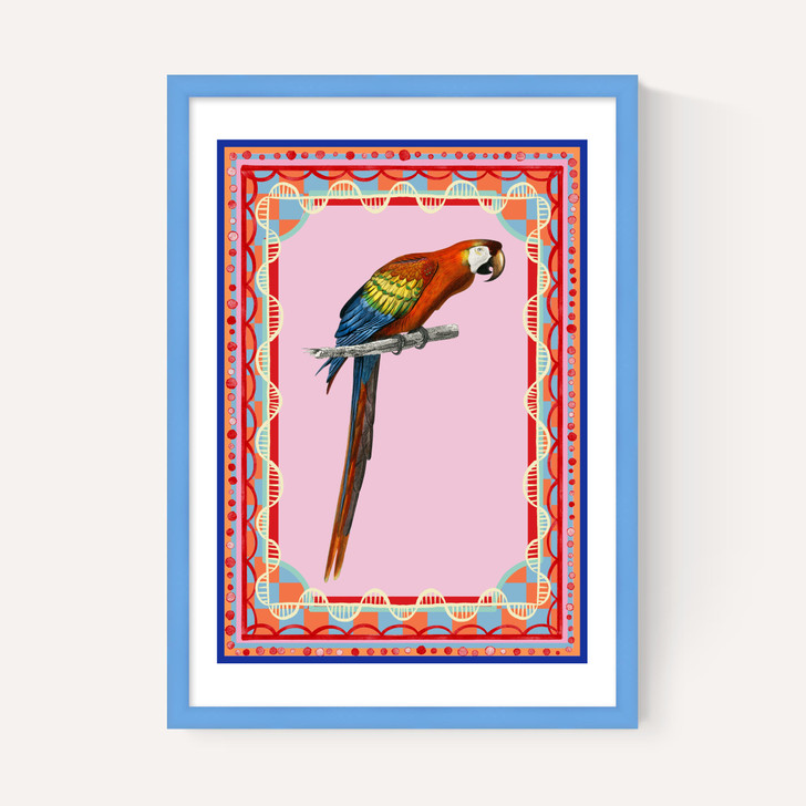 Birdframe Macaw