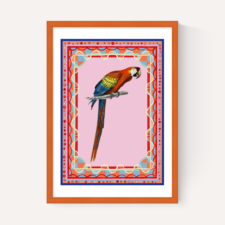 Birdframe Macaw