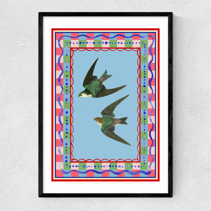 Birdframe Swallows Narrow Black Frame