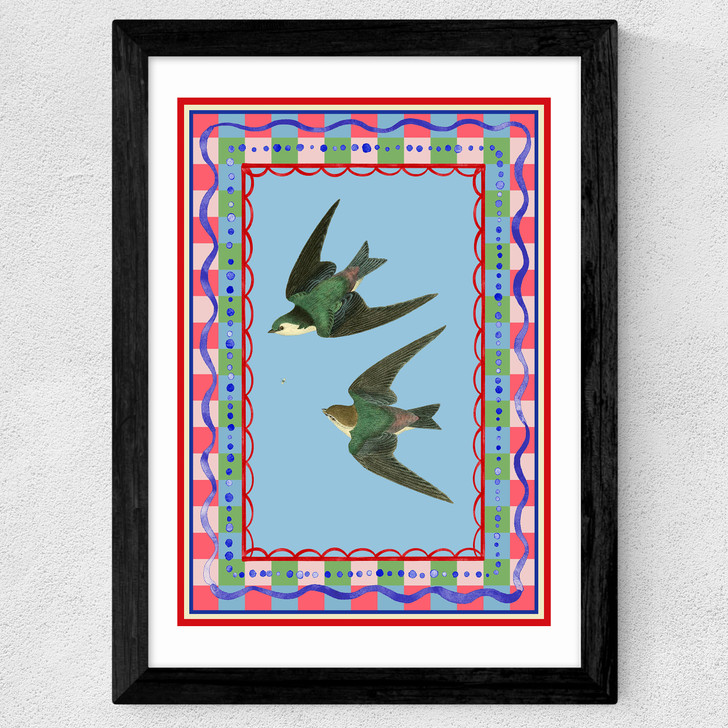 Birdframe Swallows Wide Black Frame