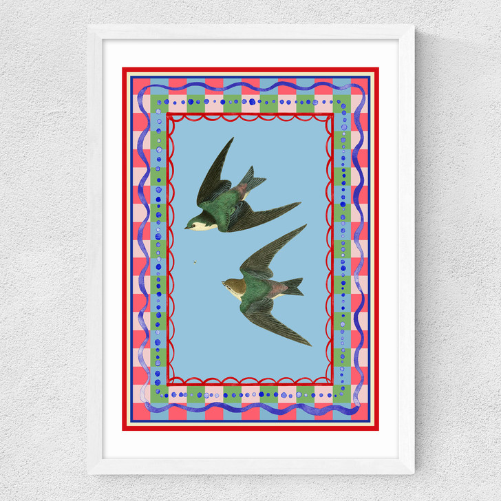 Birdframe Swallows Medium White Frame