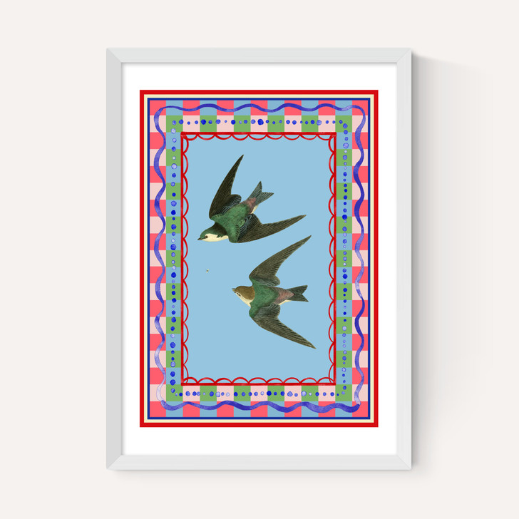 Birdframe Swallows