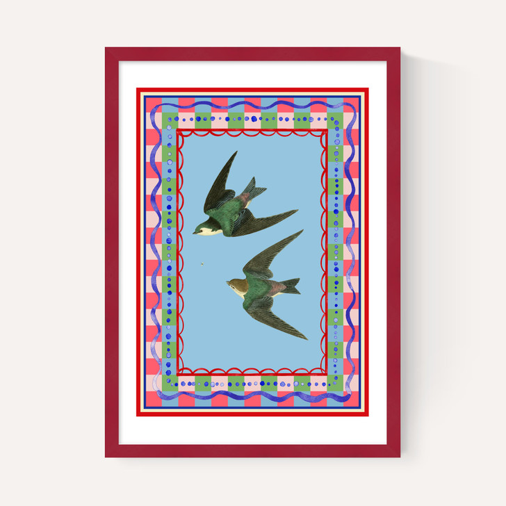Birdframe Swallows