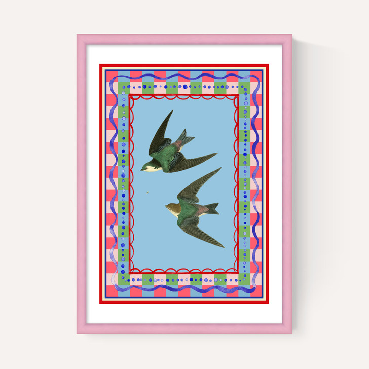 Birdframe Swallows