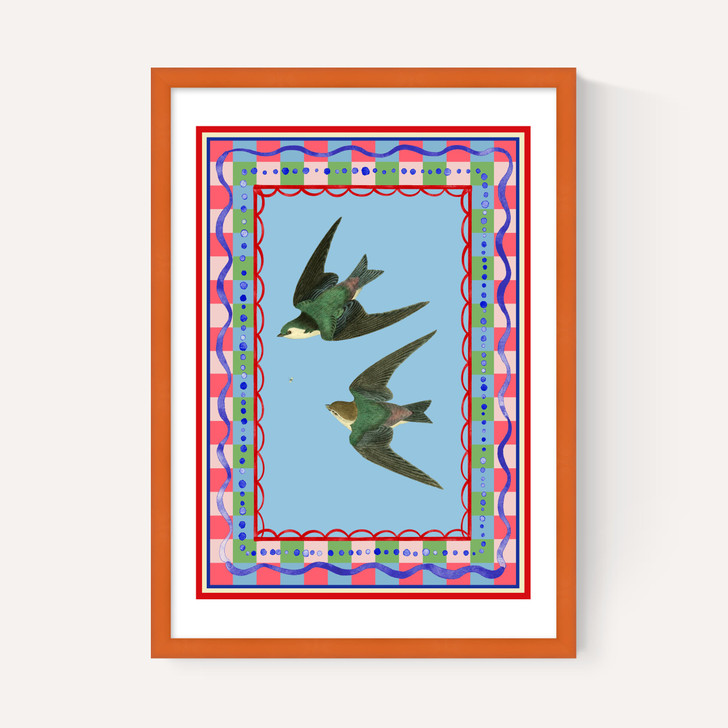 Birdframe Swallows