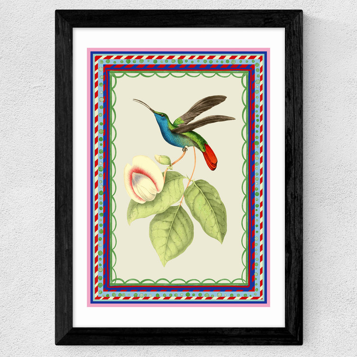 Birdframe Hummingbird Wide Black Frame