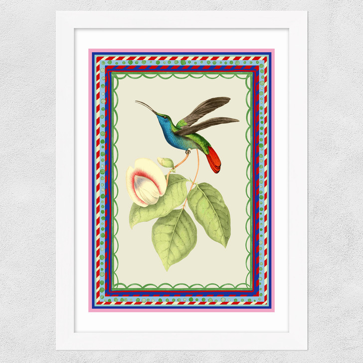 Birdframe Hummingbird Wide White Frame