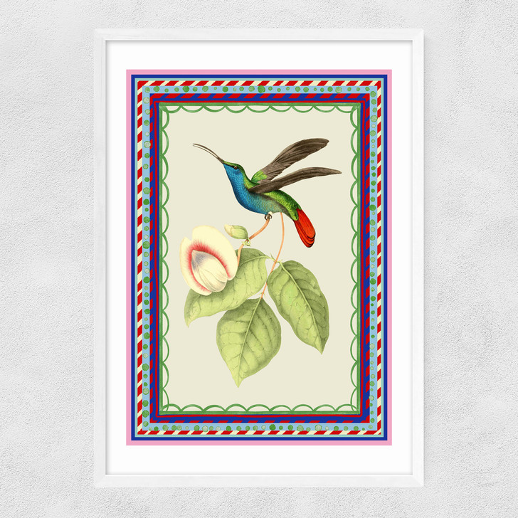 Birdframe Hummingbird Narrow White Frame