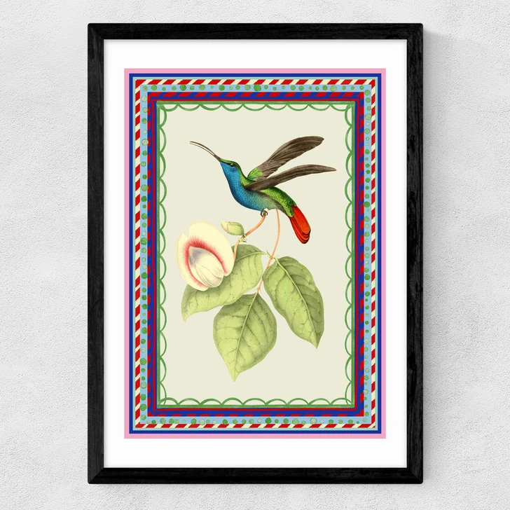 Birdframe Hummingbird Medium Black Frame