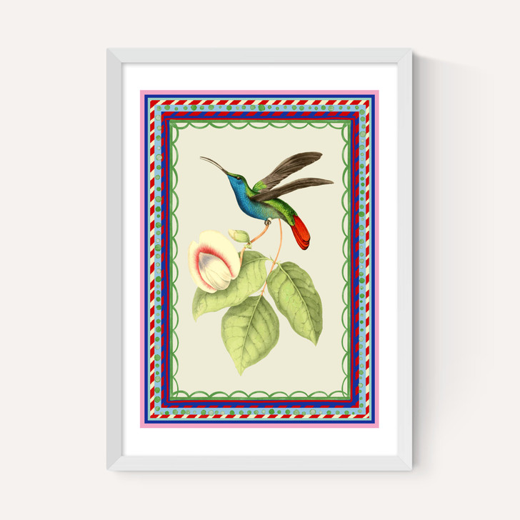 Birdframe Hummingbird