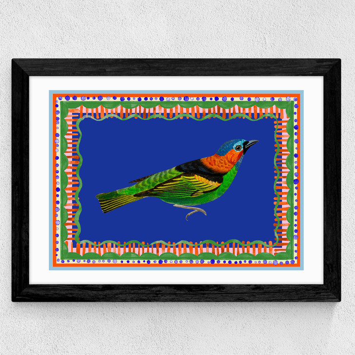 Birdframe Tanager Wide Black Frame
