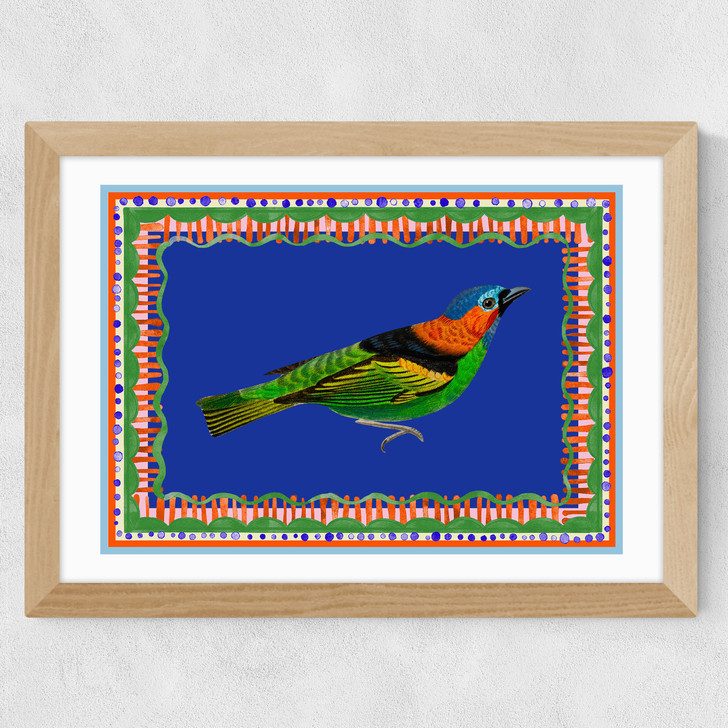 Birdframe Tanager Wide Oak Frame