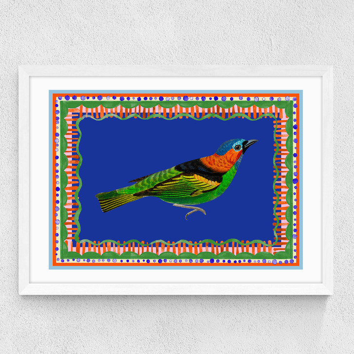 Birdframe Tanager Medium White Frame