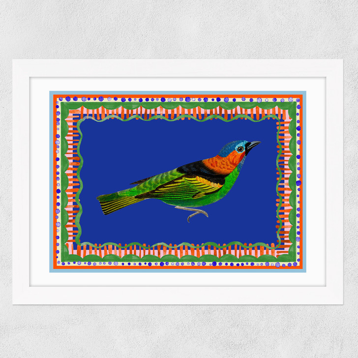 Birdframe Tanager Wide White Frame