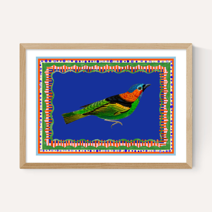 Birdframe Tanager