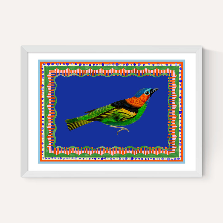 Birdframe Tanager