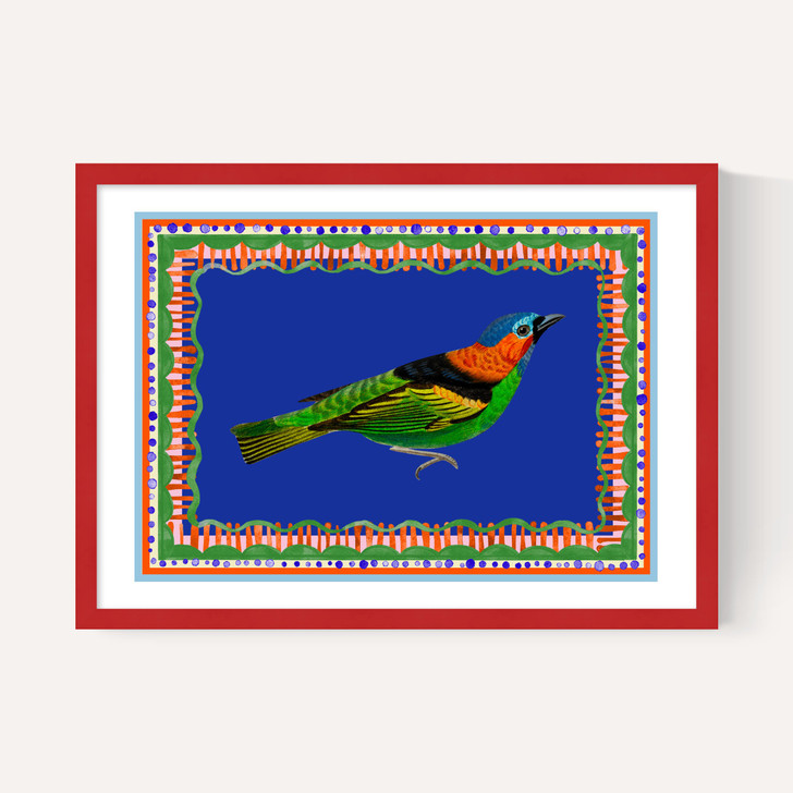 Birdframe Tanager