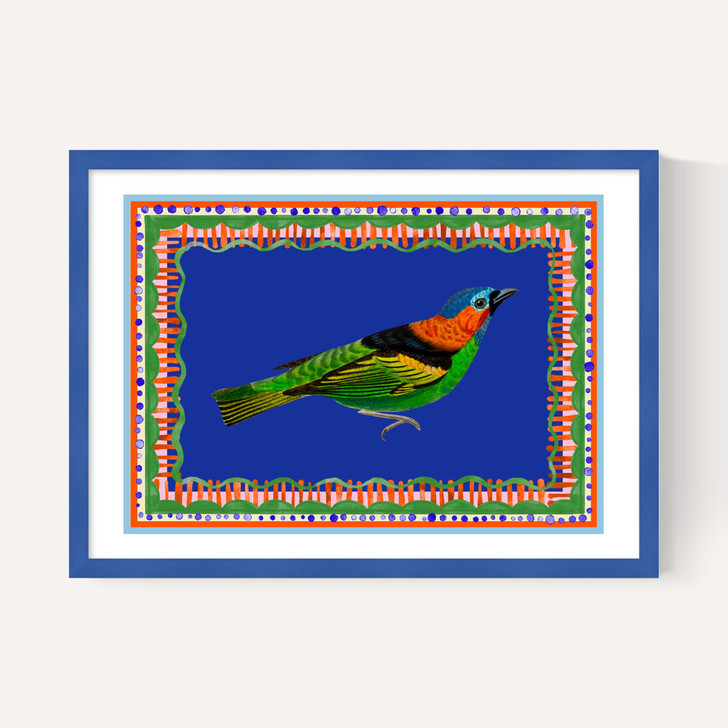Birdframe Tanager