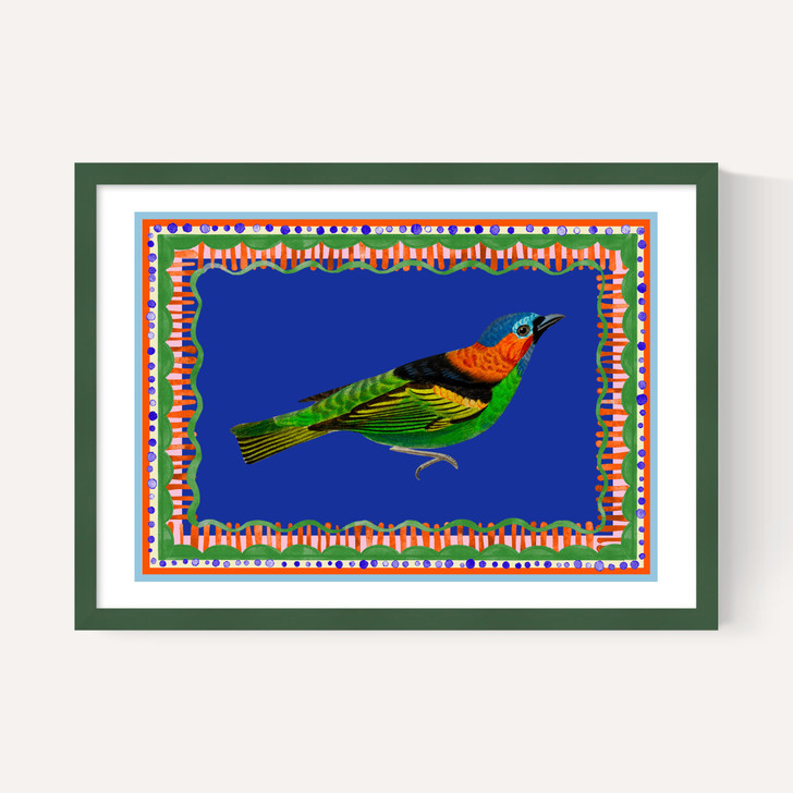Birdframe Tanager
