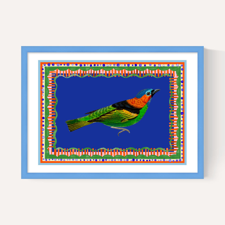 Birdframe Tanager
