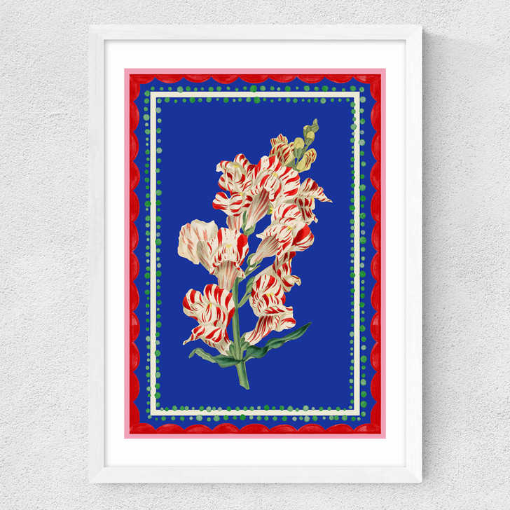 Carnival Snapdragon Medium White Frame