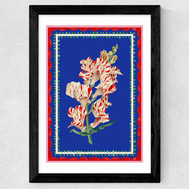 Carnival Snapdragon Wide Black Frame