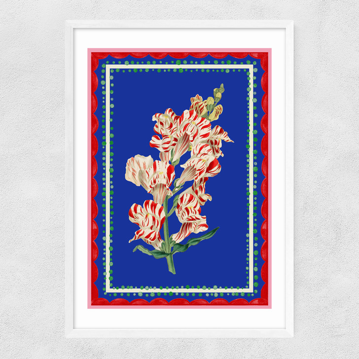 Carnival Snapdragon Narrow White Frame