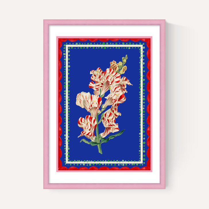 Carnival Snapdragon