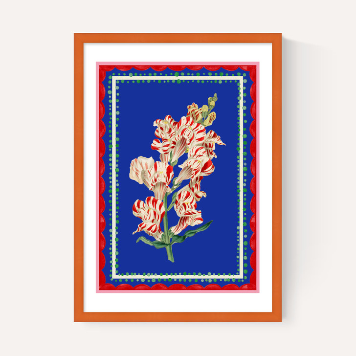 Carnival Snapdragon