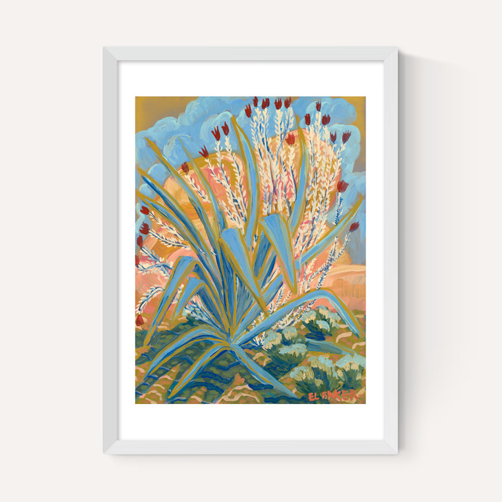 Agave Plant