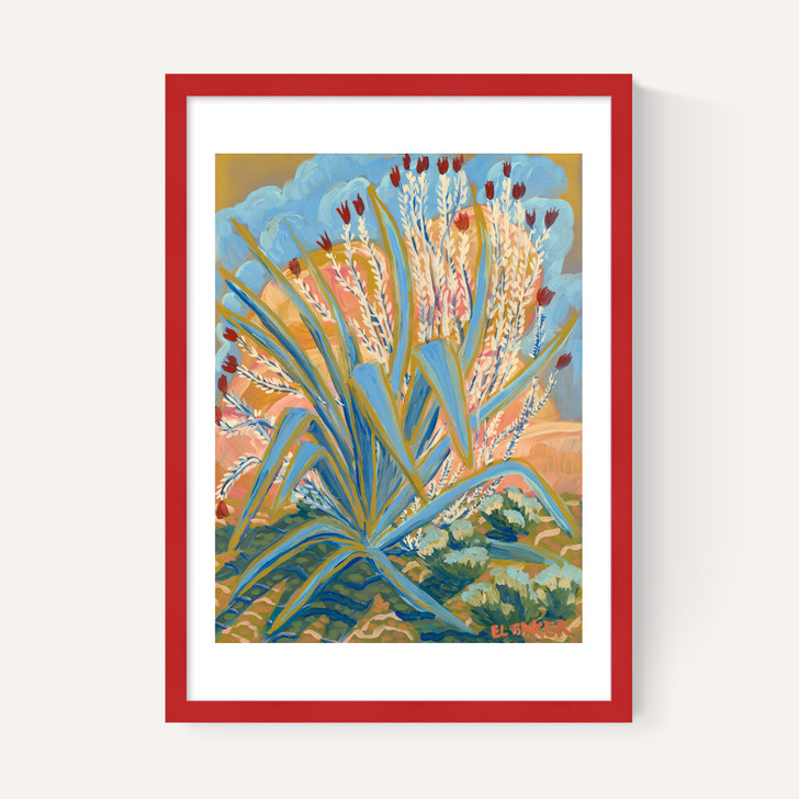 Agave Plant