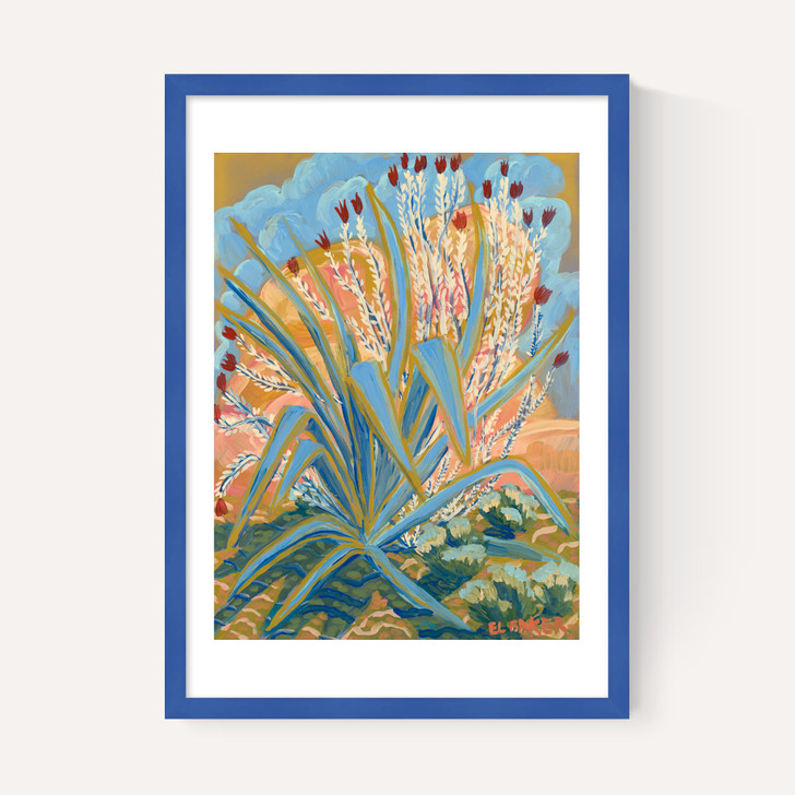 Agave Plant