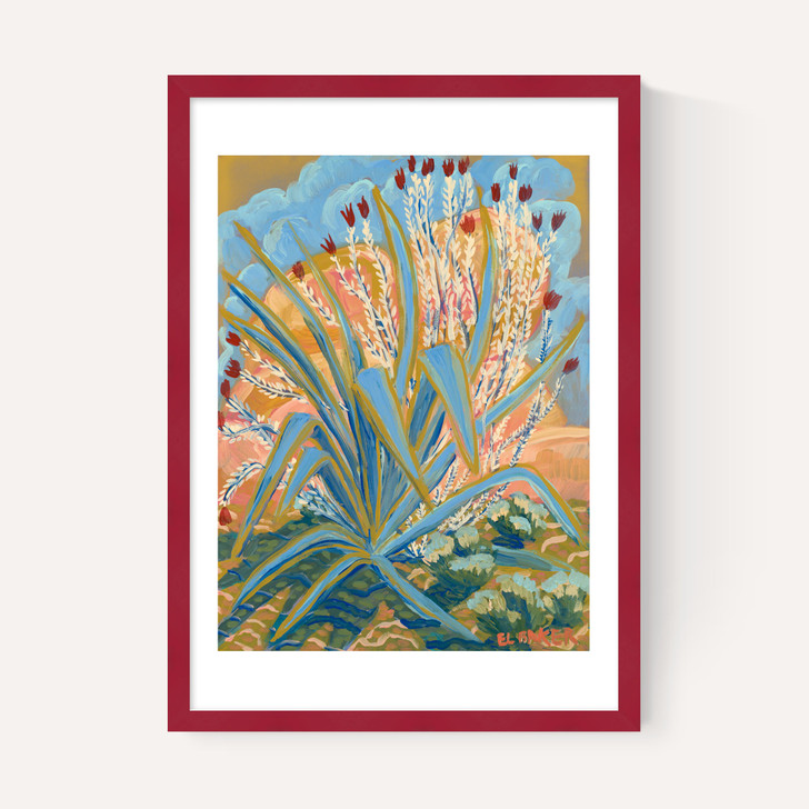 Agave Plant